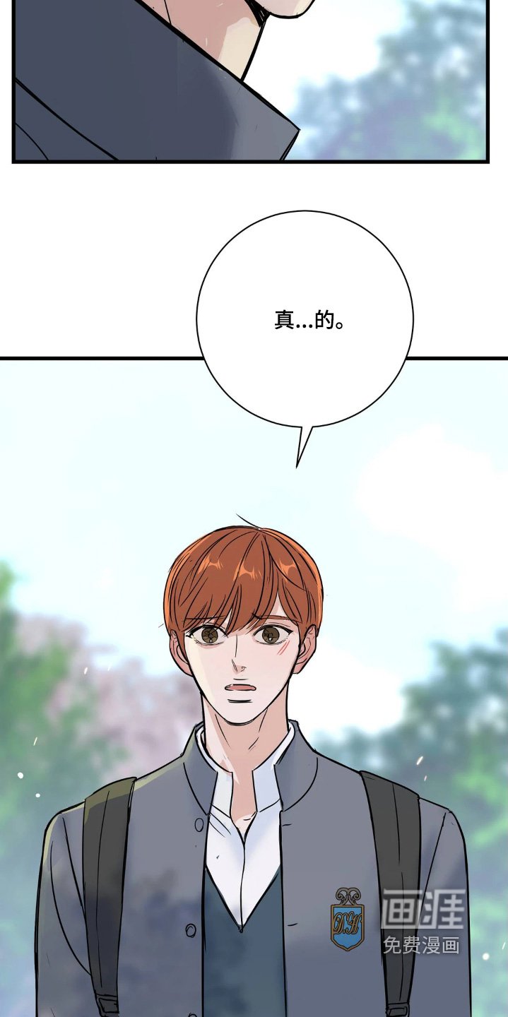 第37章：和你没关系