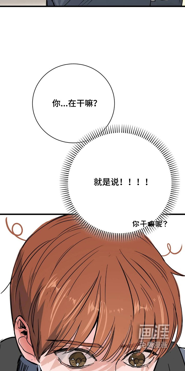 第37章：和你没关系