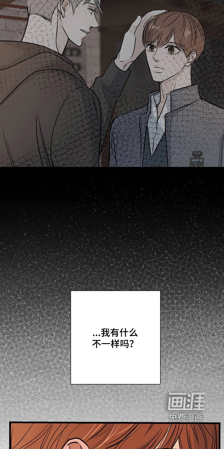 第40章：一直想了解你