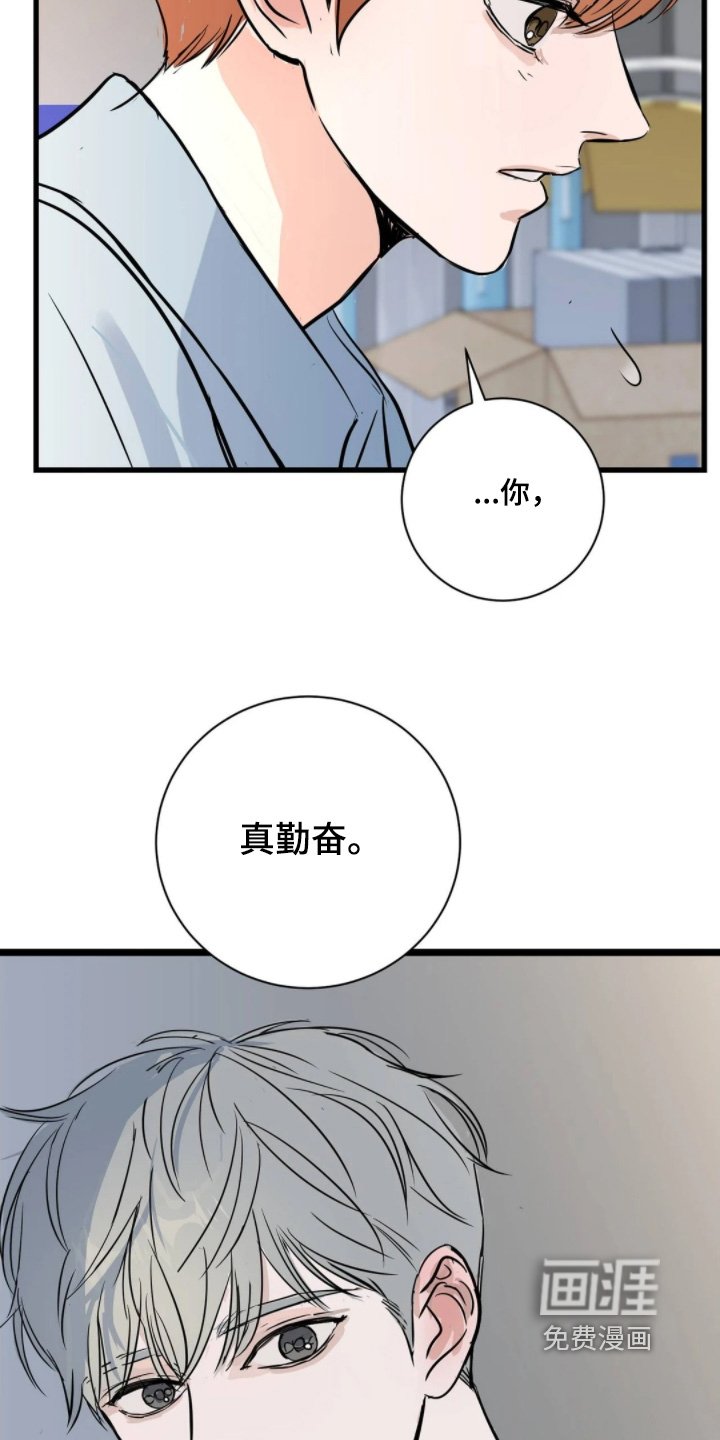 第41章：睡不着
