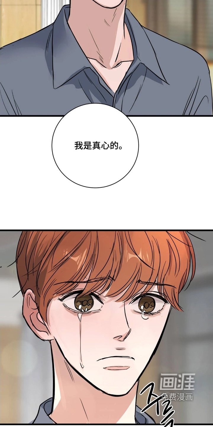 第44章：我是真心的