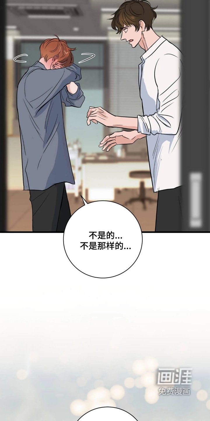 第44章：我是真心的