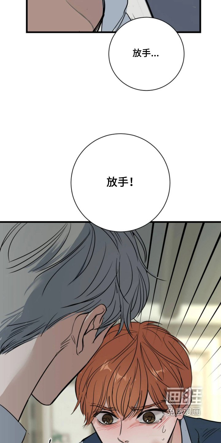 第52章：想起那天