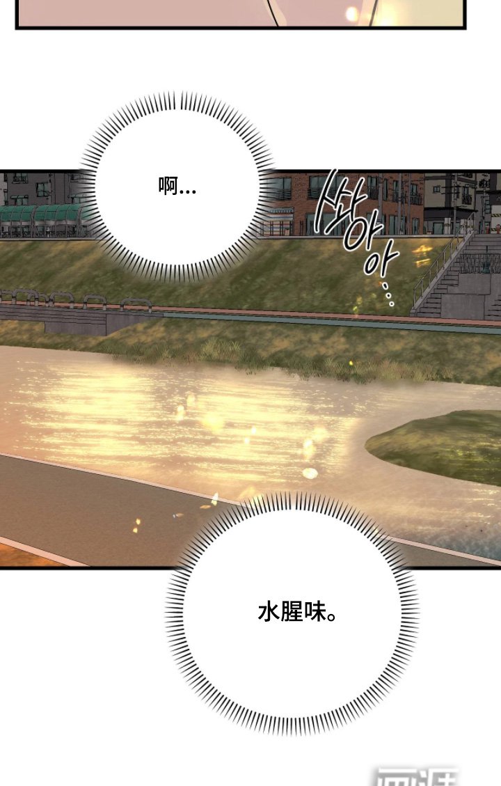第52章：想起那天
