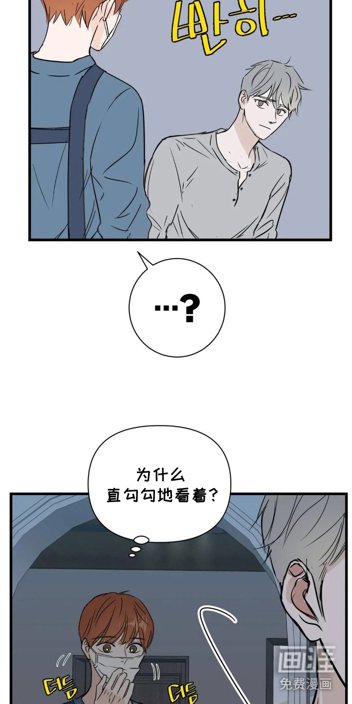 第7章：松节油的味道