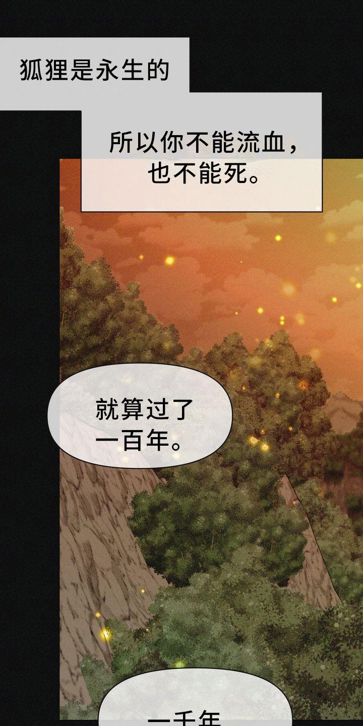 第1章：狐狸一族