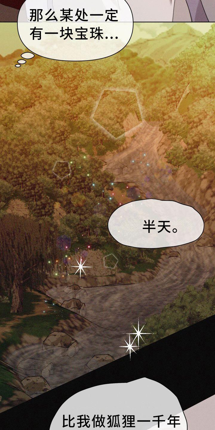 第1章：狐狸一族