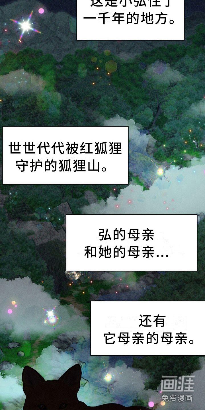 第14章：有主意了