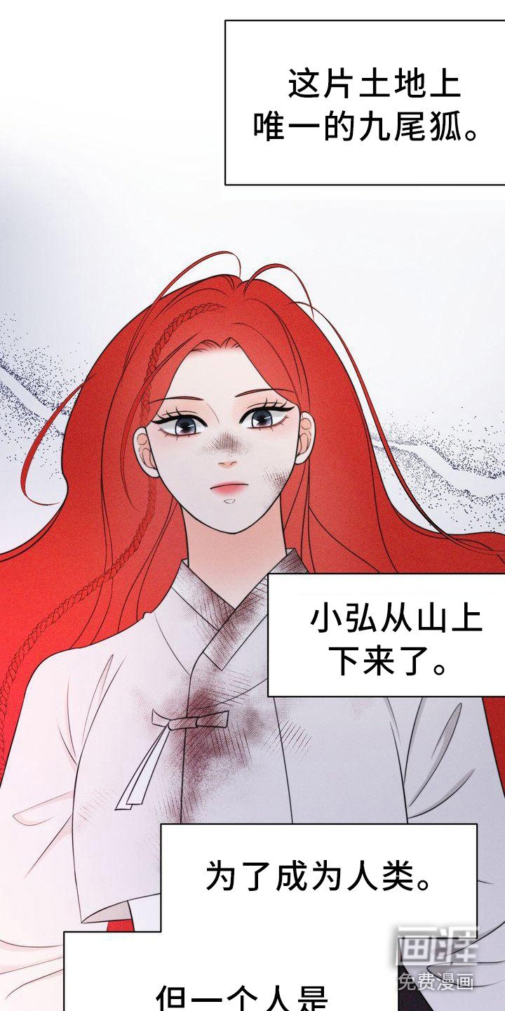 第14章：有主意了