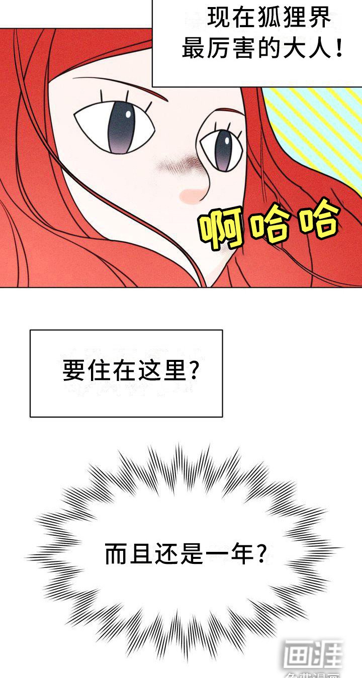 第14章：有主意了