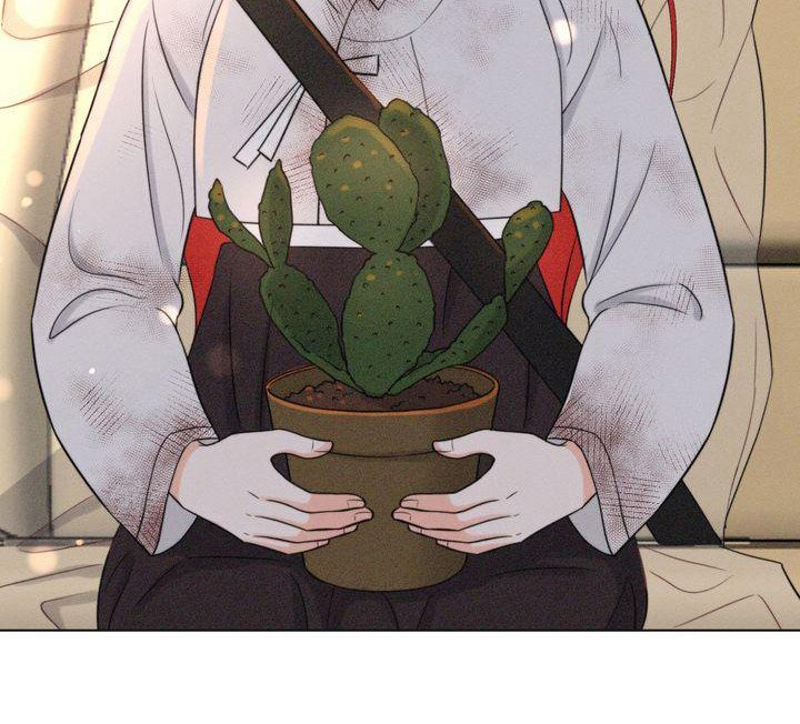 第19章：被迷惑