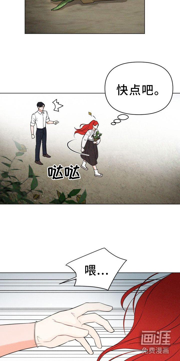 第9章：仔细看