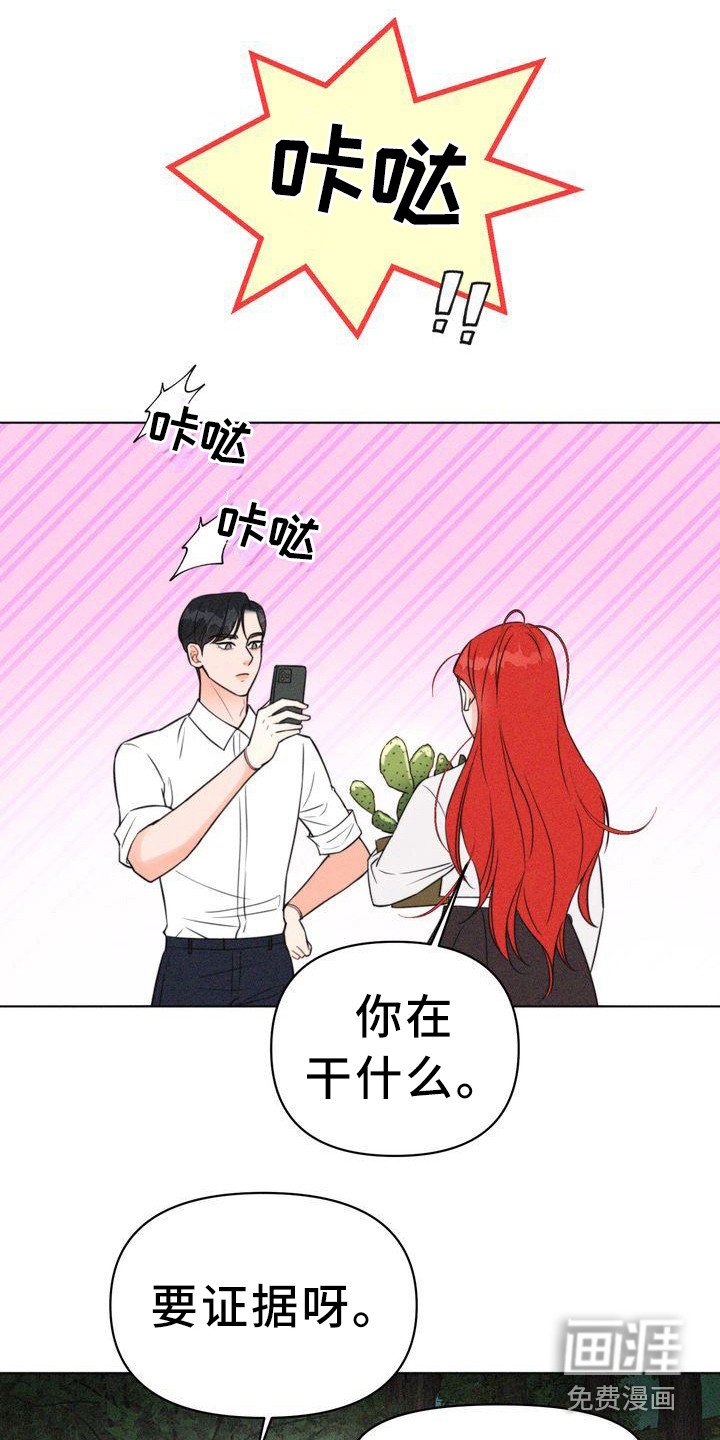 第9章：仔细看