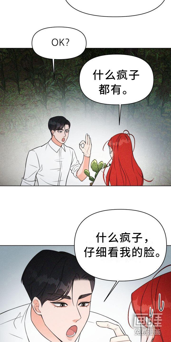 第9章：仔细看