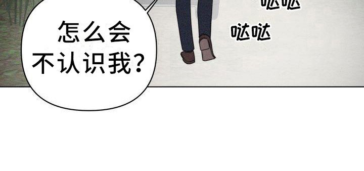 第9章：仔细看