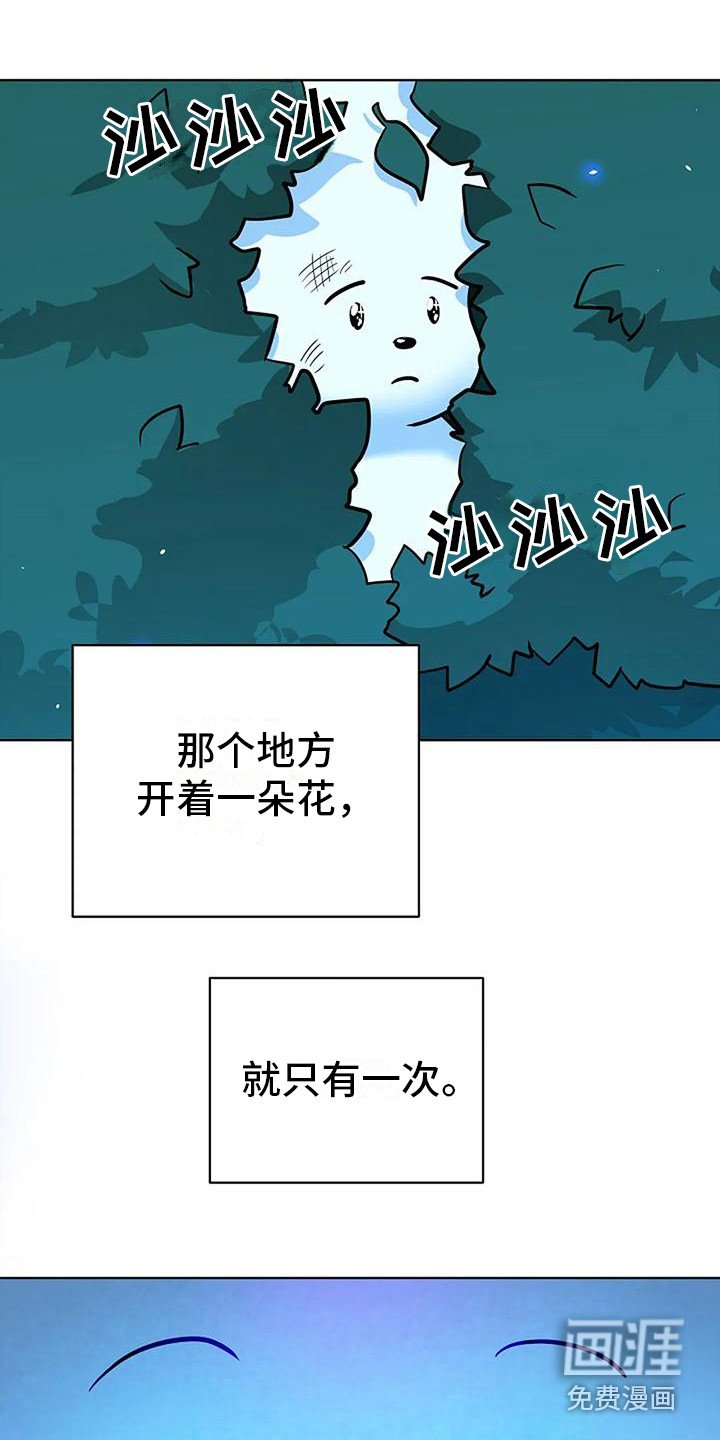 第17章：许愿