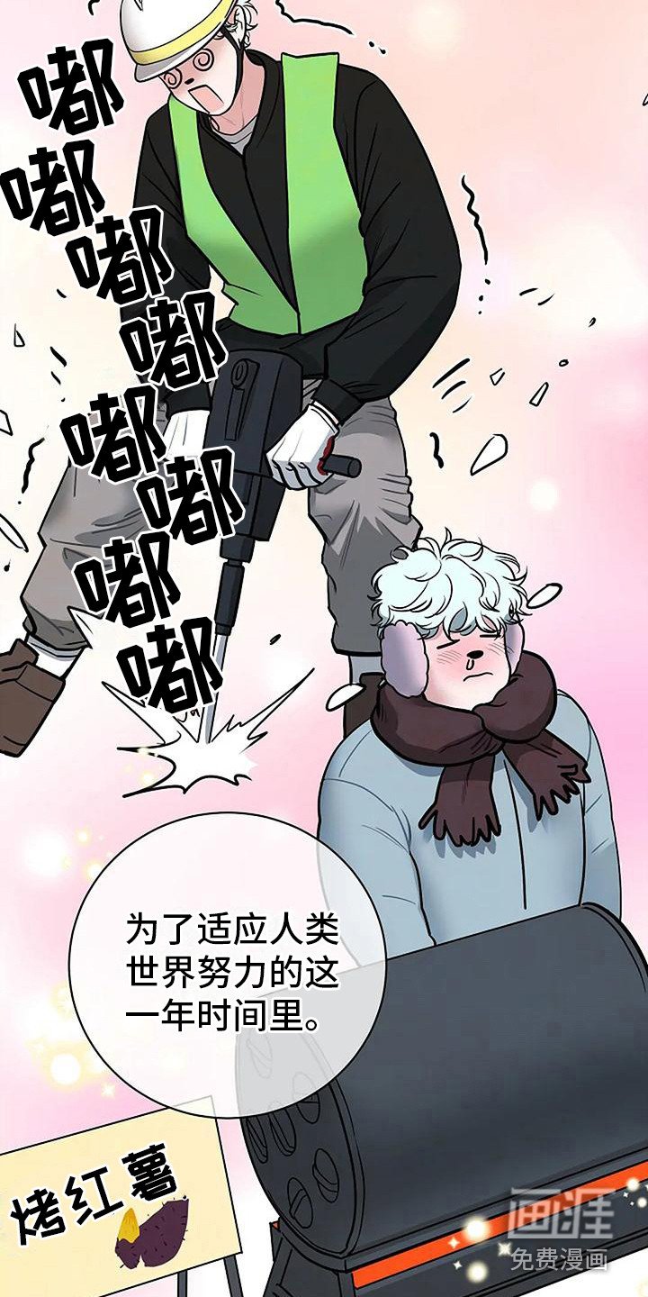 第19章：再次见面