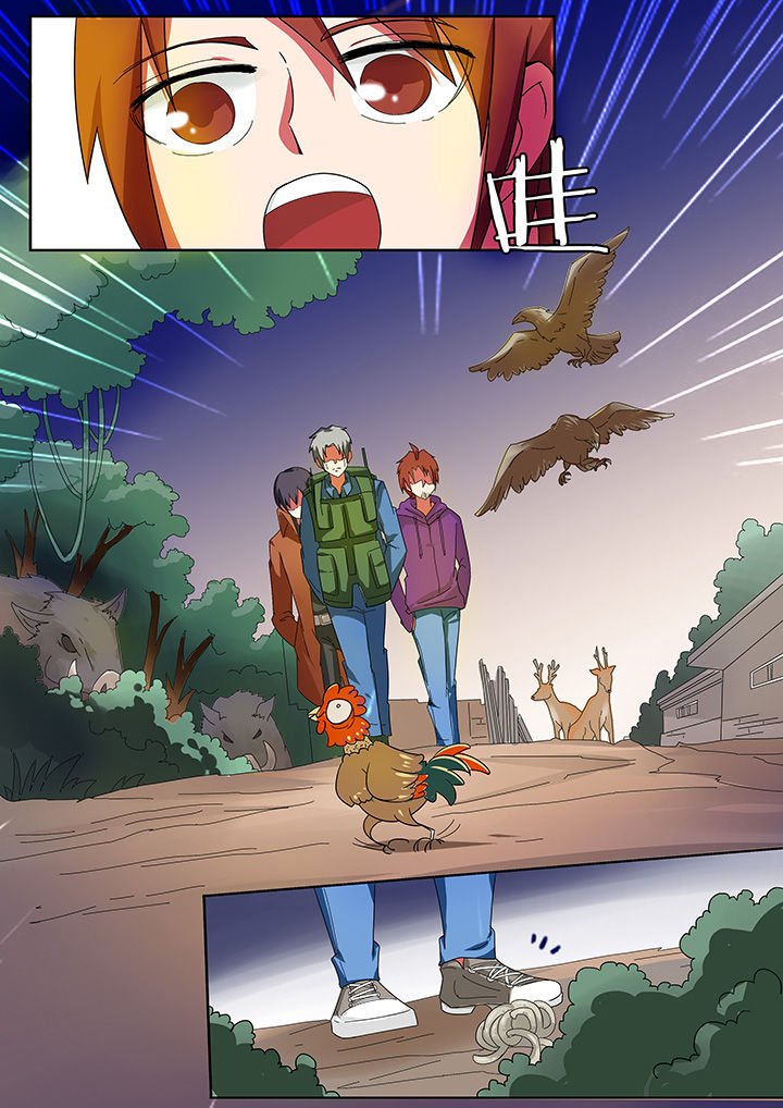 第204章：