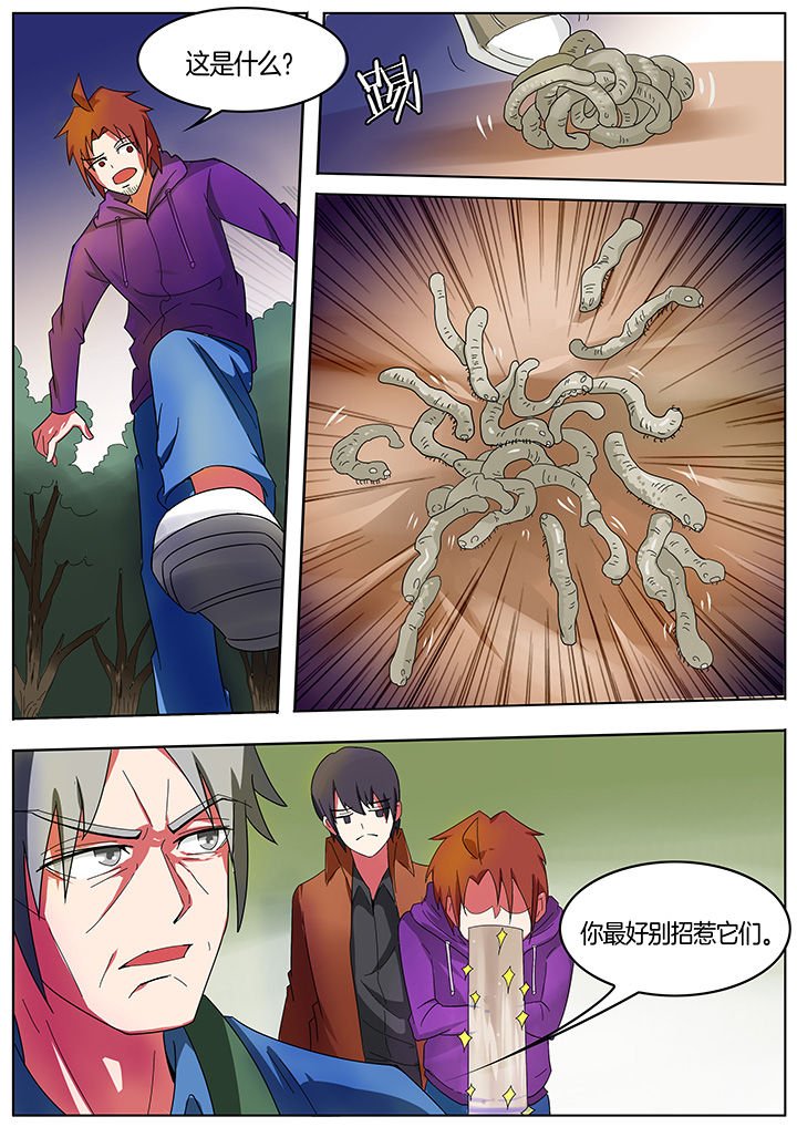 第204章：