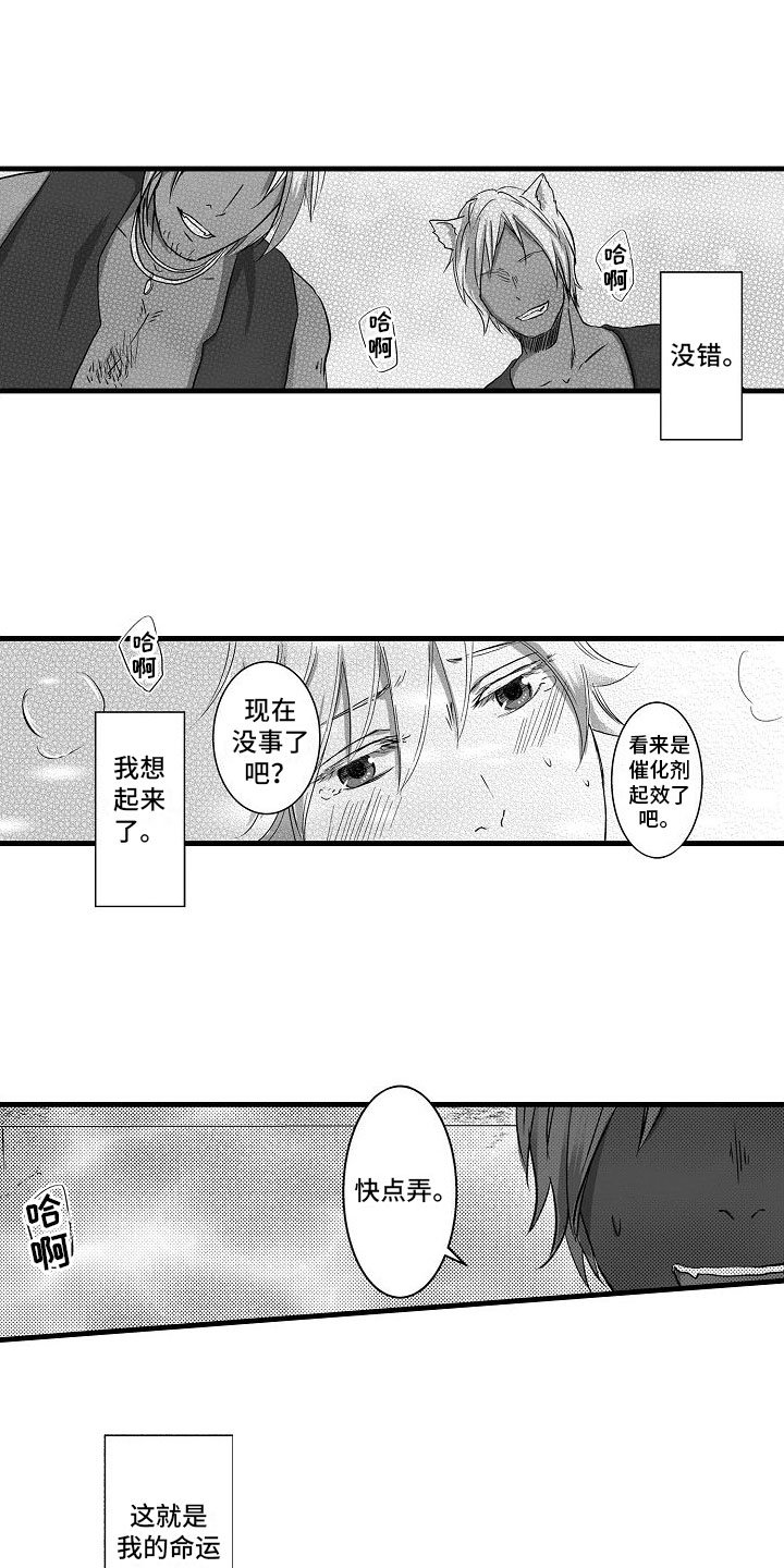 第1章：被召唤