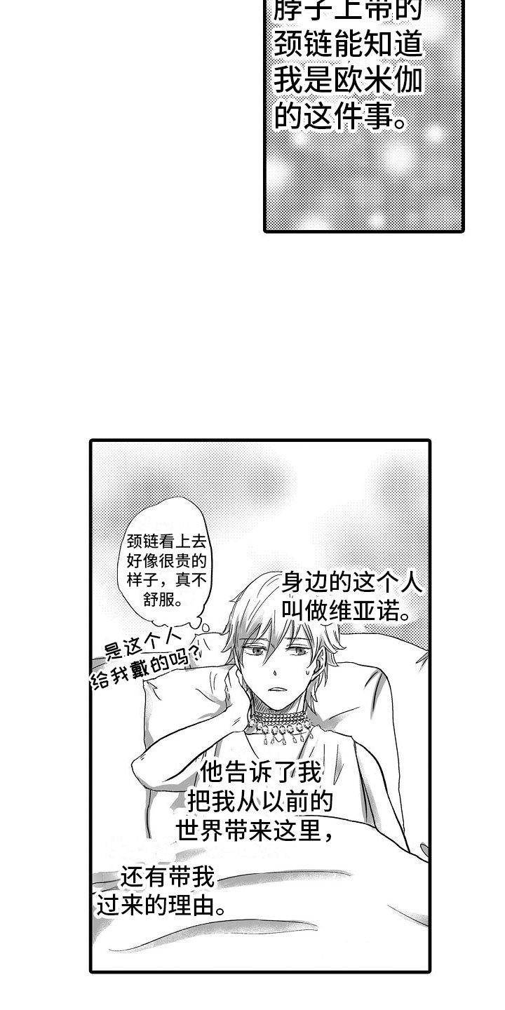 第1章：被召唤