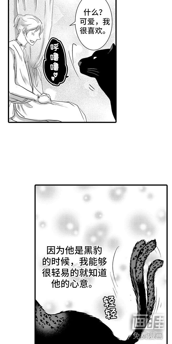 第11章：心意