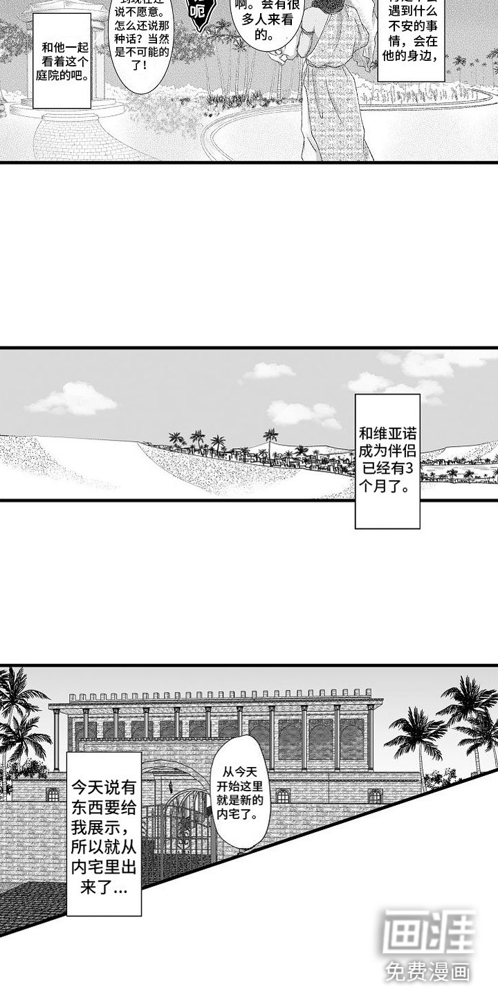 第11章：心意