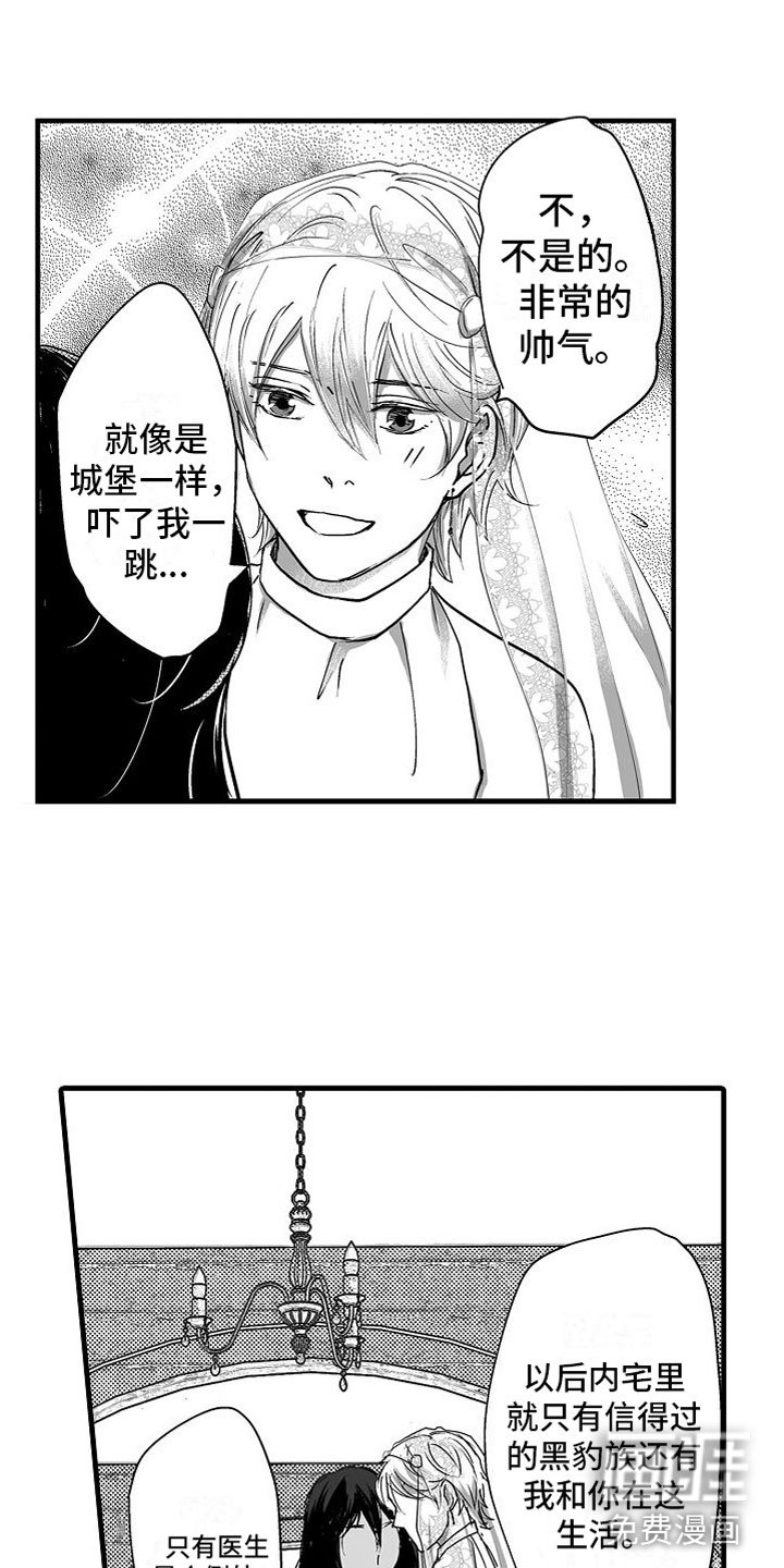 第11章：心意
