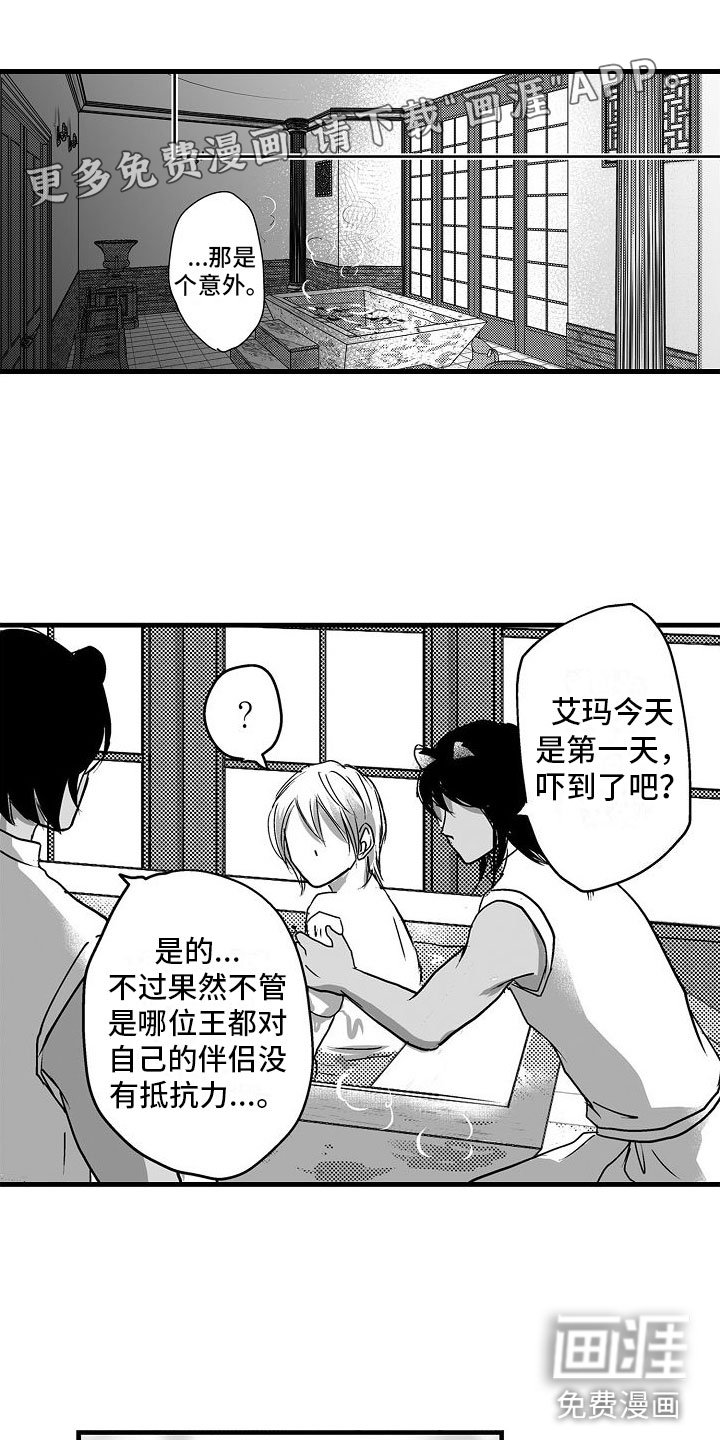 第13章：不一样