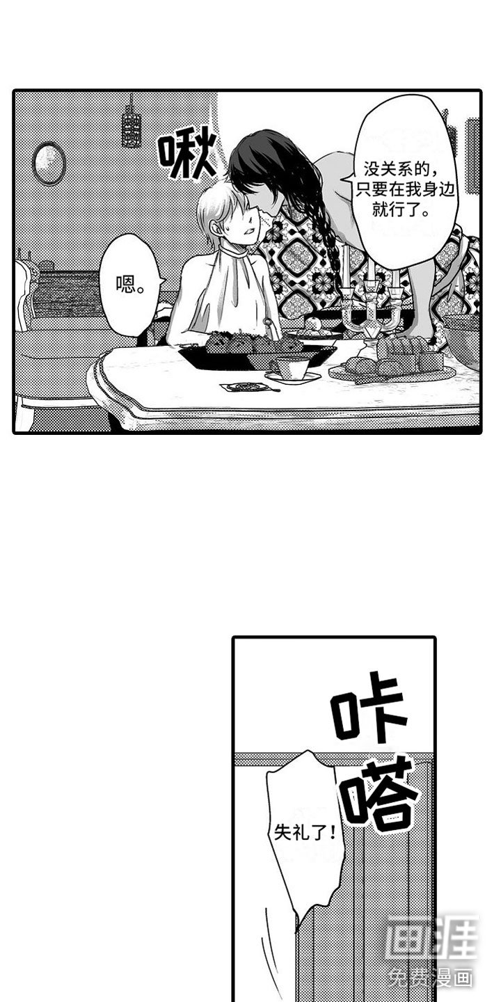 第15章：他国王子