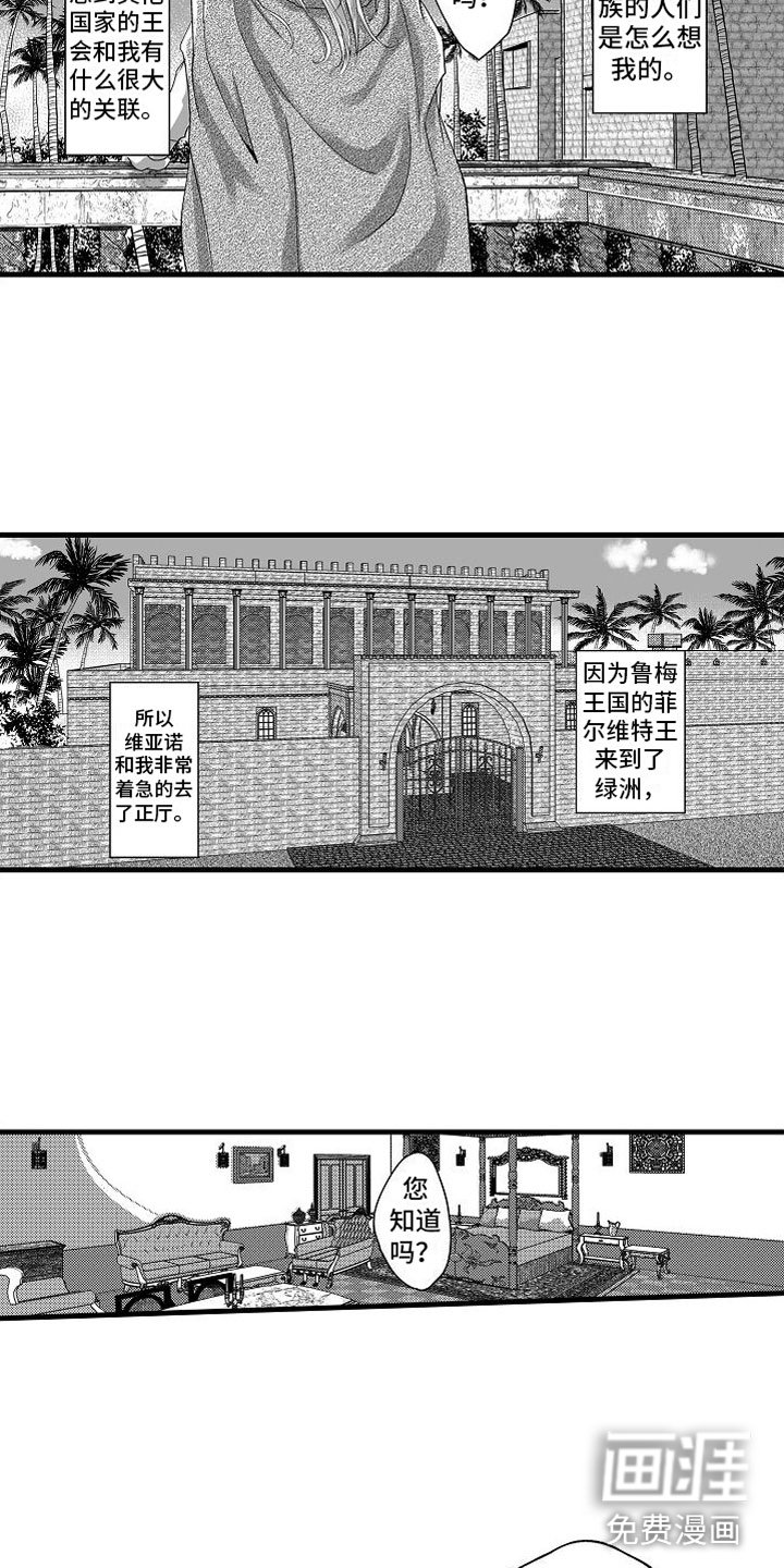 第15章：他国王子