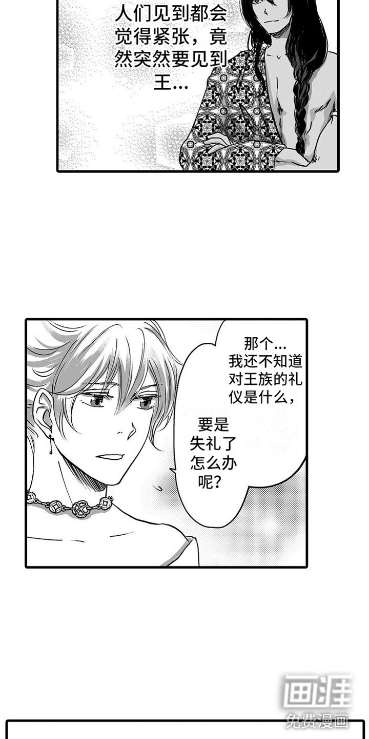 第15章：他国王子