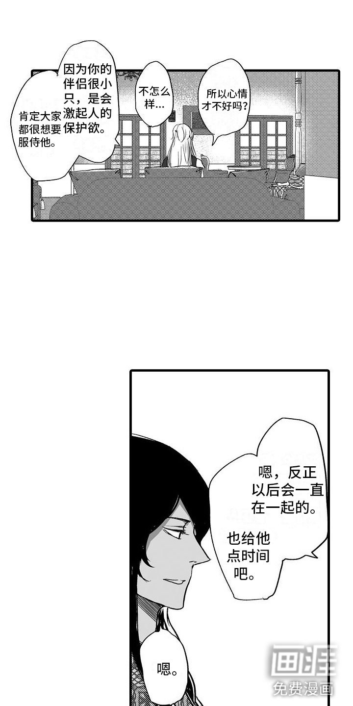 第19章：夜晚