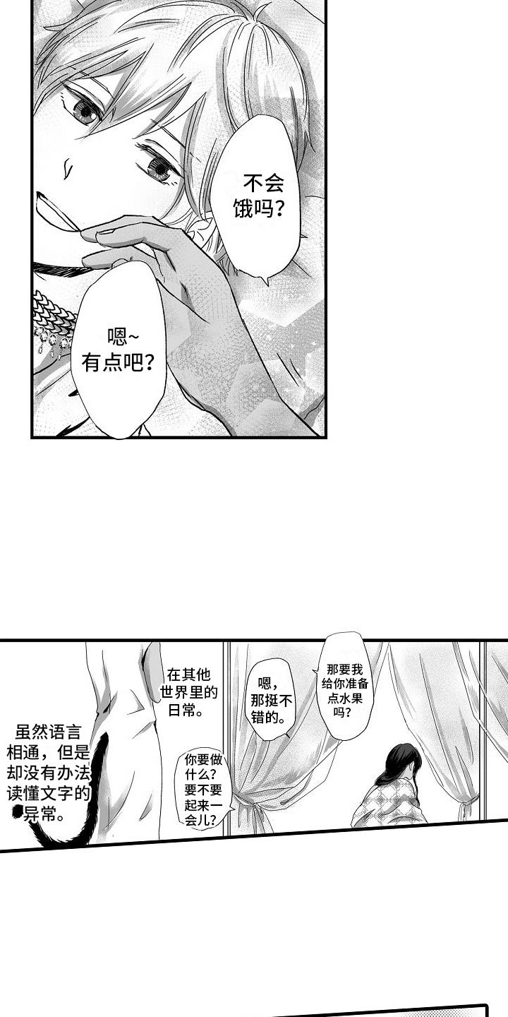 第2章：了解世界