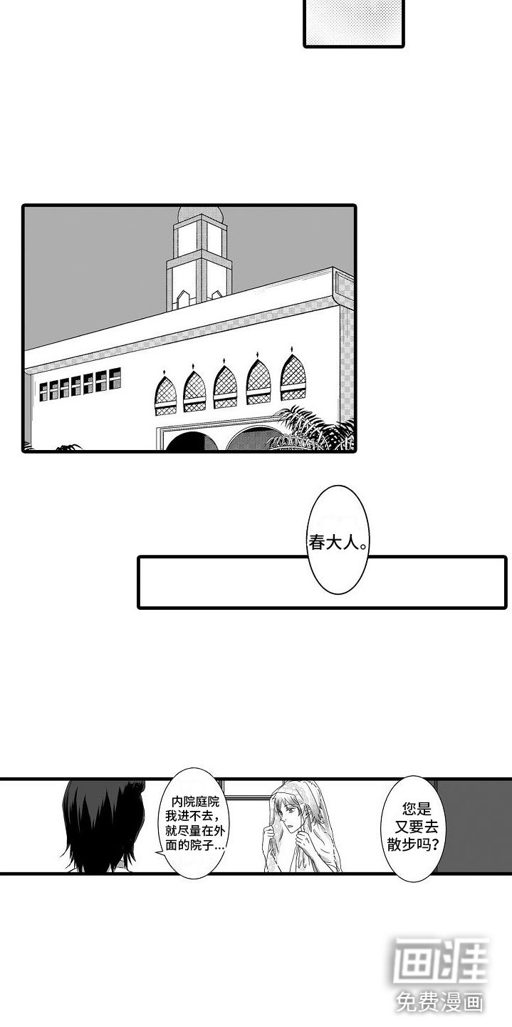 第6章： 祈求