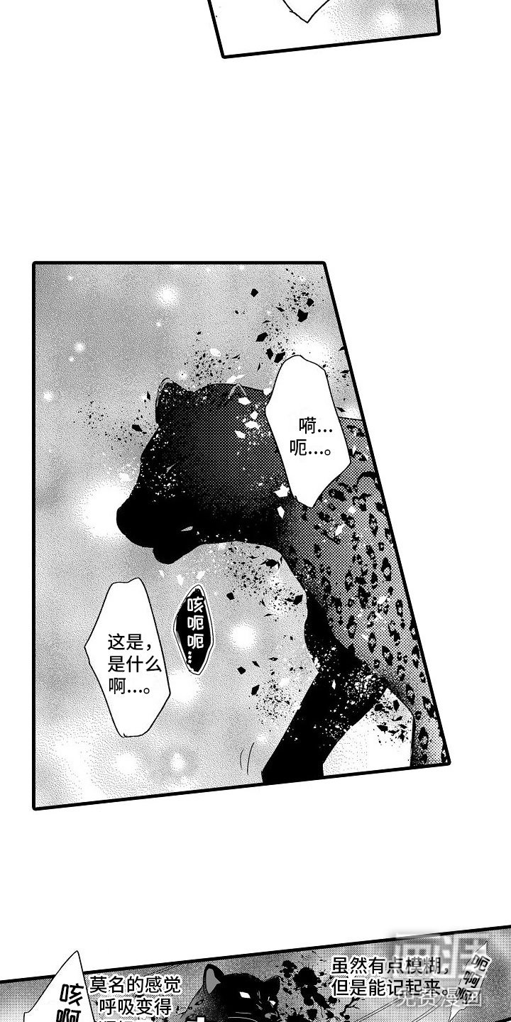 第8章：召唤那天