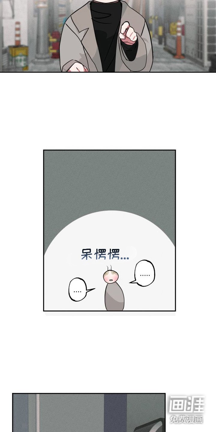 第17章：可怜兮兮