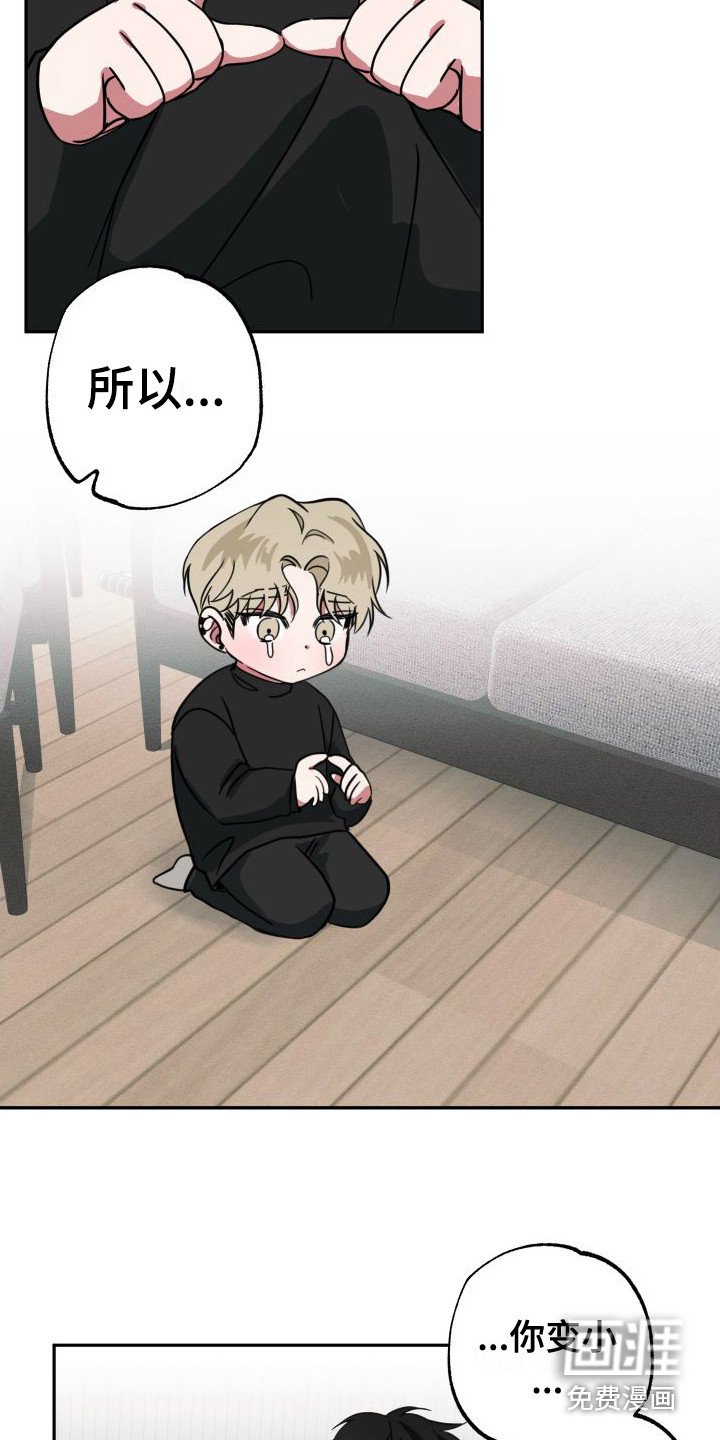 第18章：解释