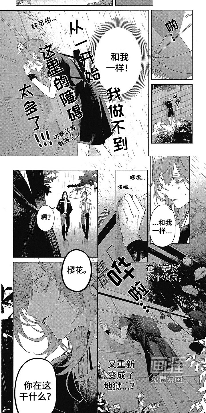第19章：弱小
