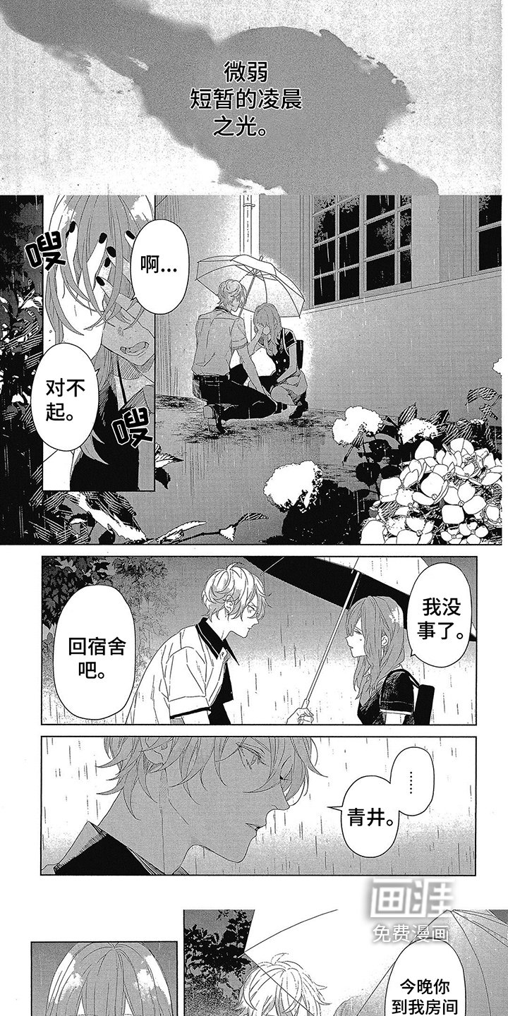 第21章：凌晨的光