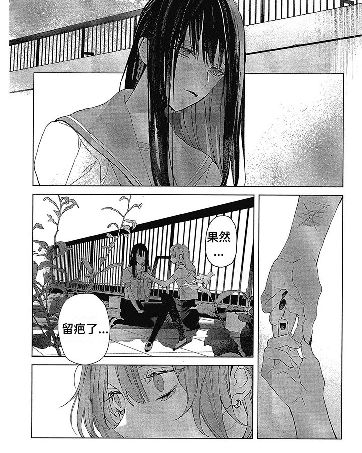 第44章：相似