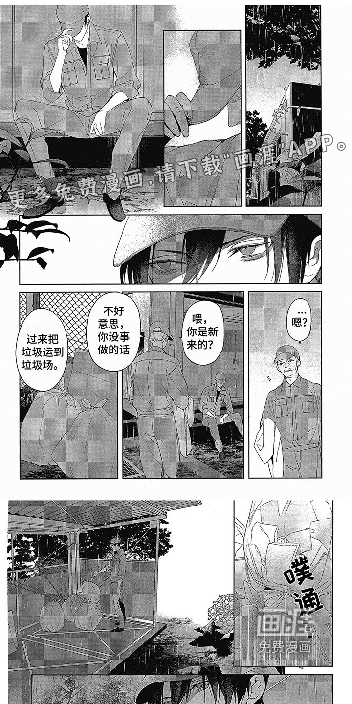 第50章：有喜欢的人
