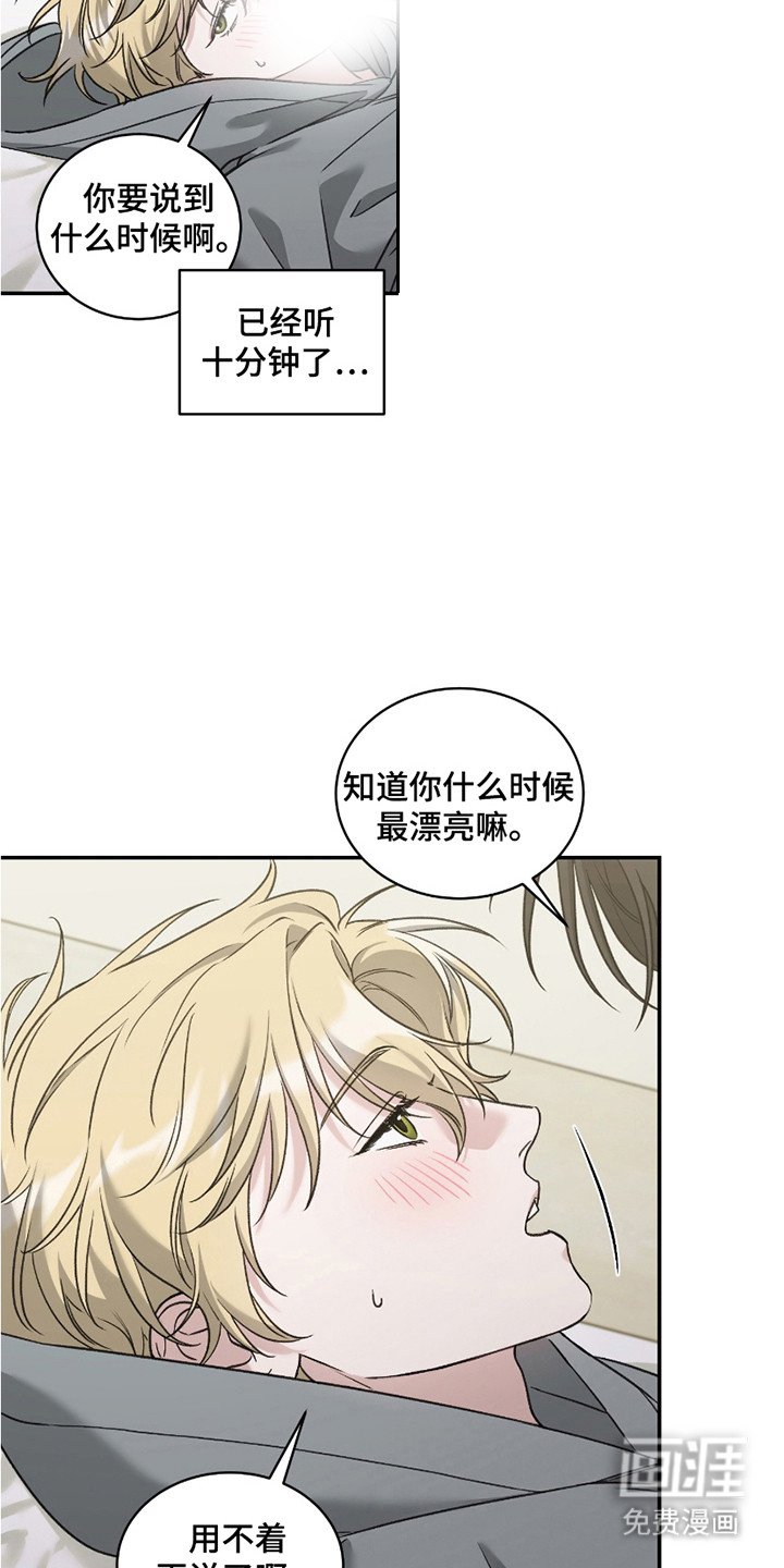 第13章：回答