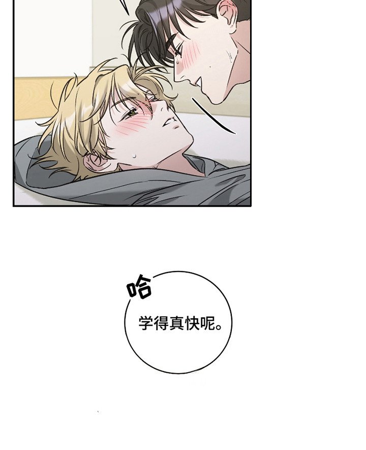 第13章：回答