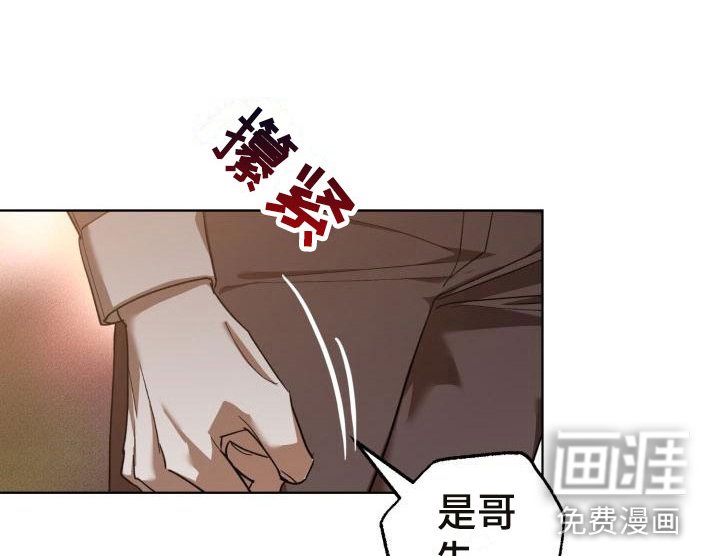 第11章：别惹我：永远在一起【完】