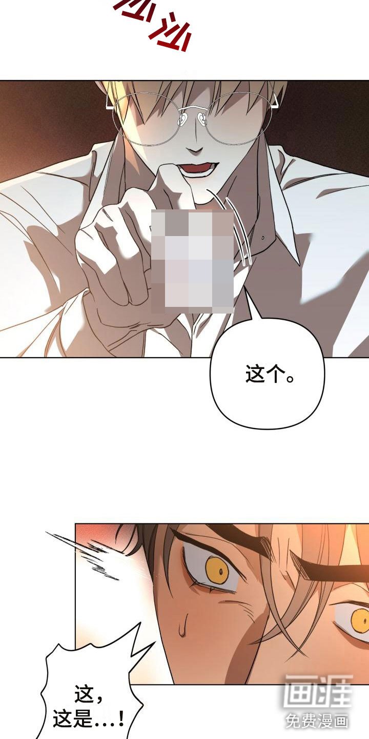 第11章：别惹我：永远在一起【完】