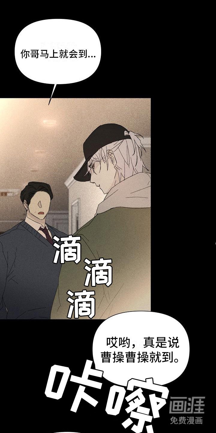 第18章：花木有情：陌生兄弟