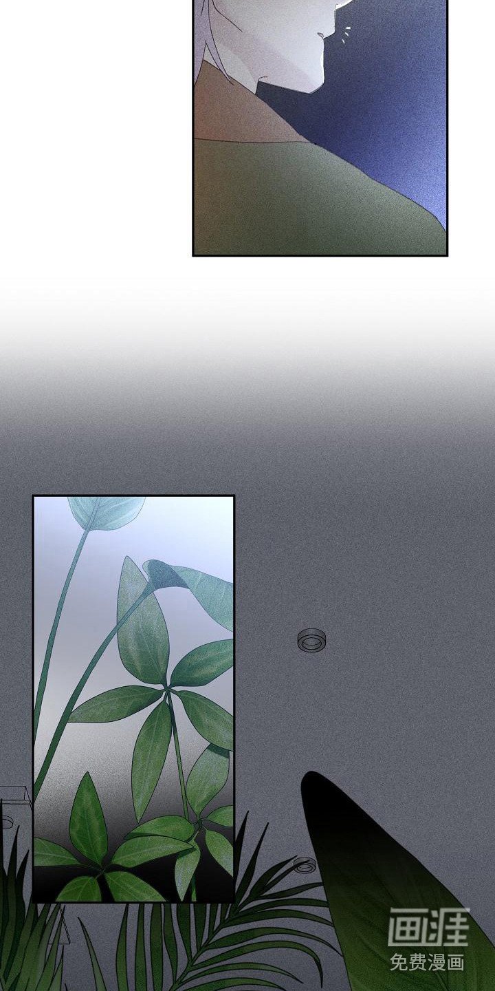 第19章：花木有情：挑衅