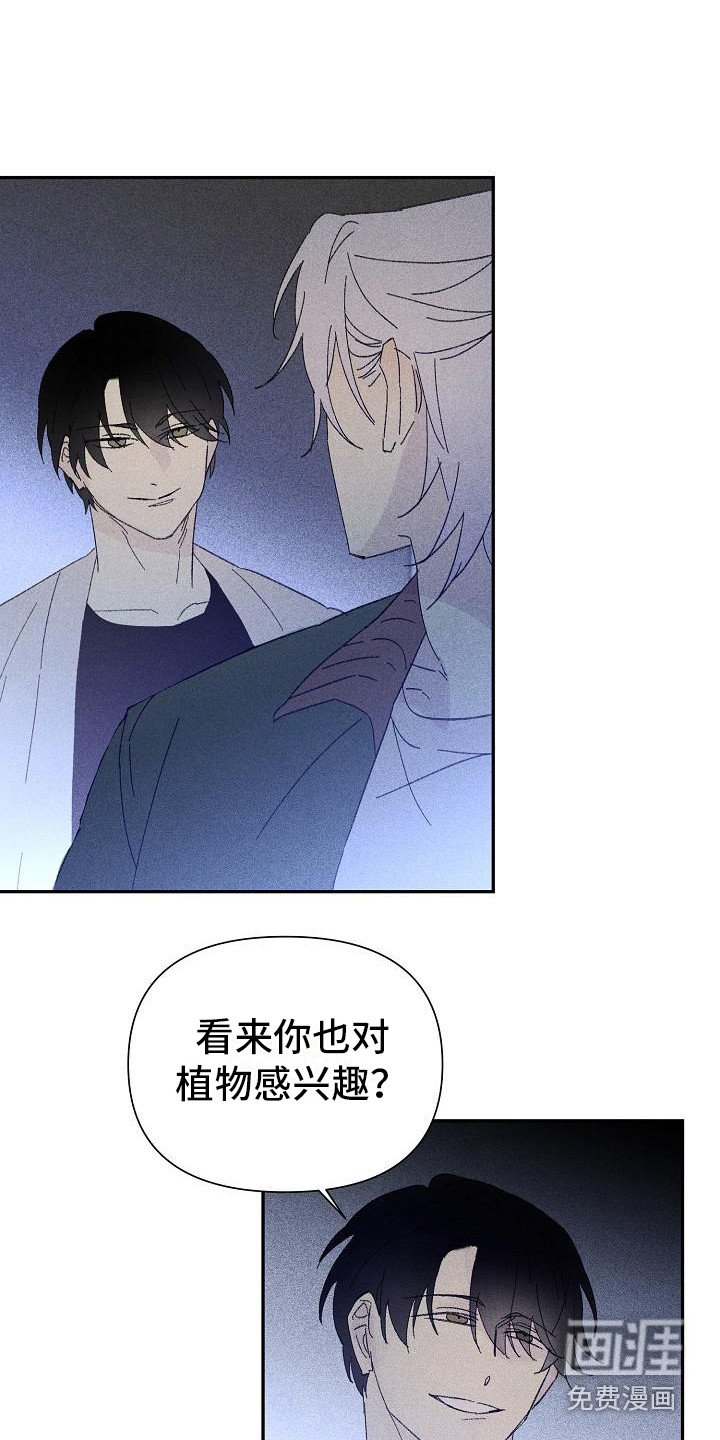 第19章：花木有情：挑衅