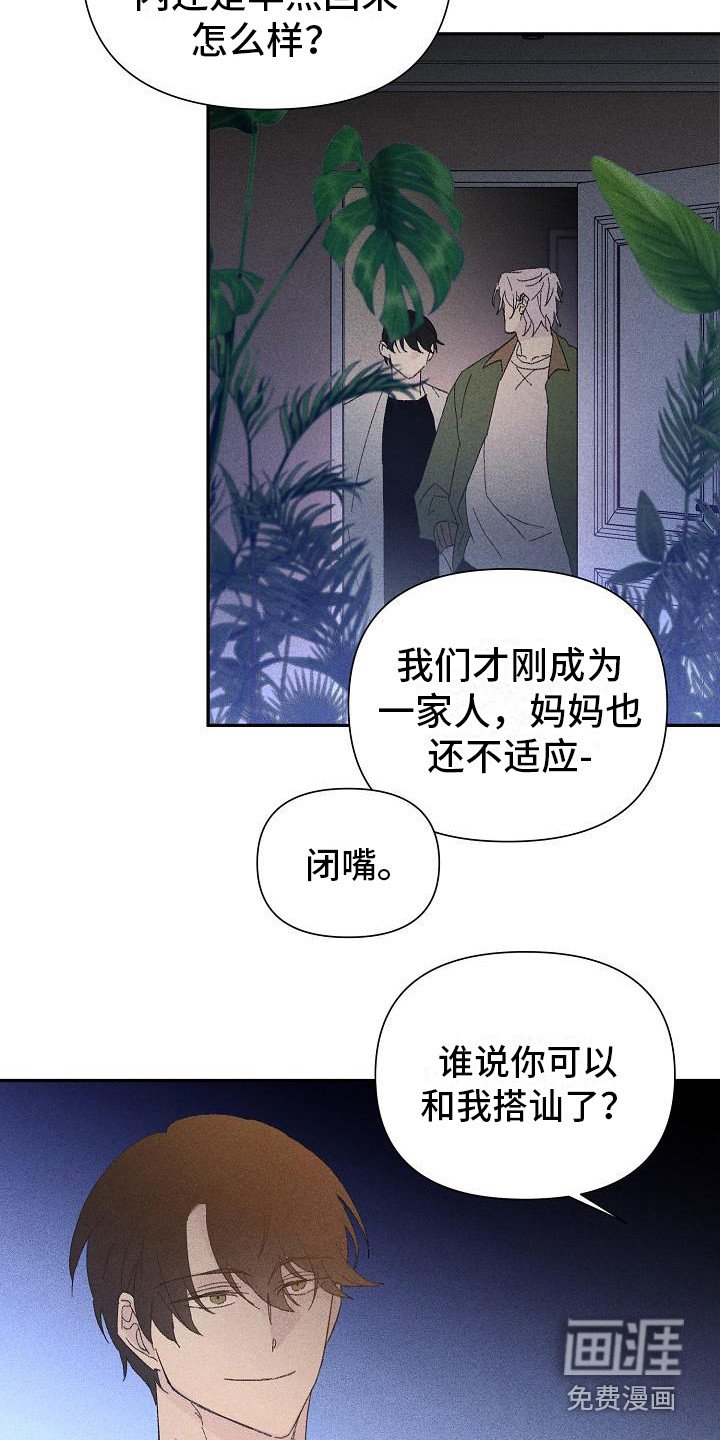 第19章：花木有情：挑衅